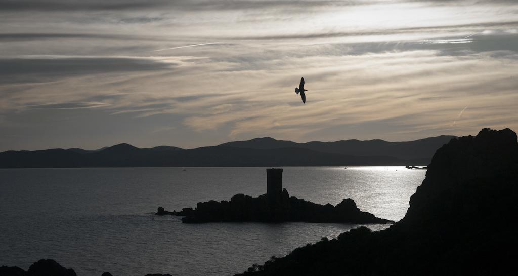 Cap Esterel Garden Flat Сен-Рафаель Екстер'єр фото